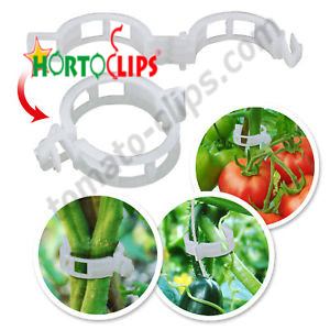 Using clips in the crops of various vegetables